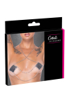 Caches t�tons avec chainette de cou - Cotelli Accessoires